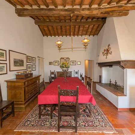 Glicine Della Vivaldina, Suvereto