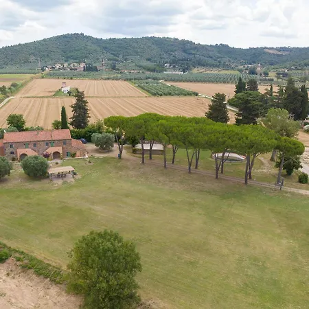 Glicine Della Vivaldina, Suvereto