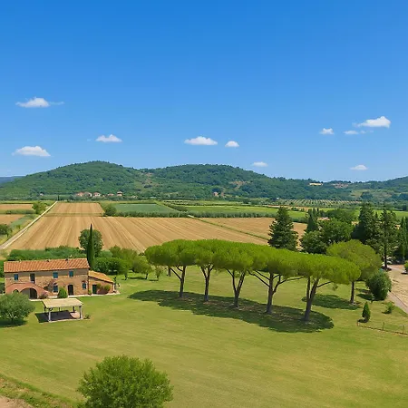 Gli Della Vivaldina, Suvereto